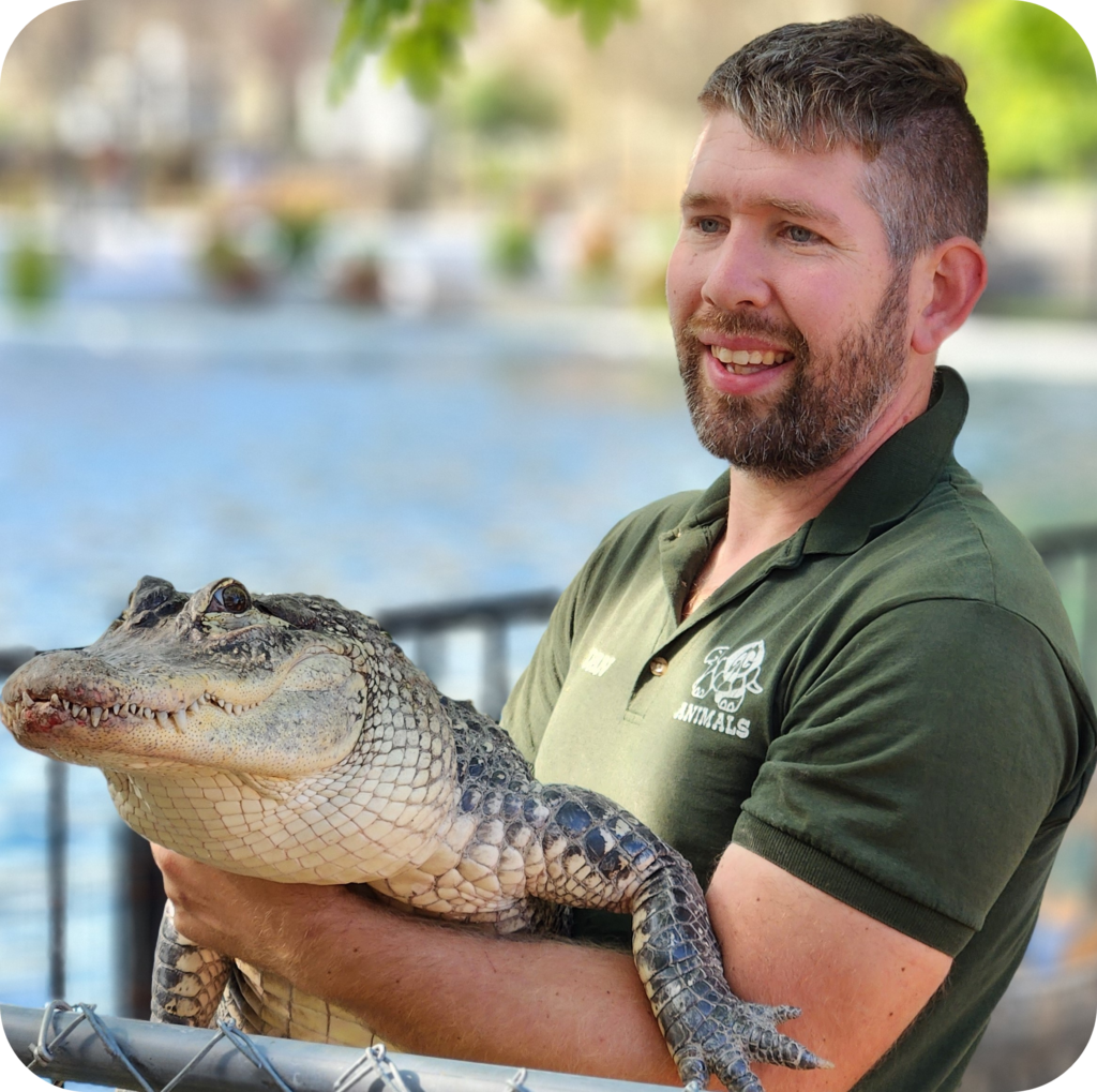 Danny Oostdyk– Director Of G&G Animals